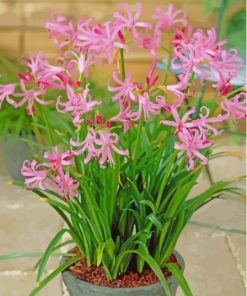 Pink Nerine Plant Pot Diamond Painting