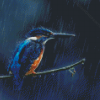 Rain And Bird Diamond Painting