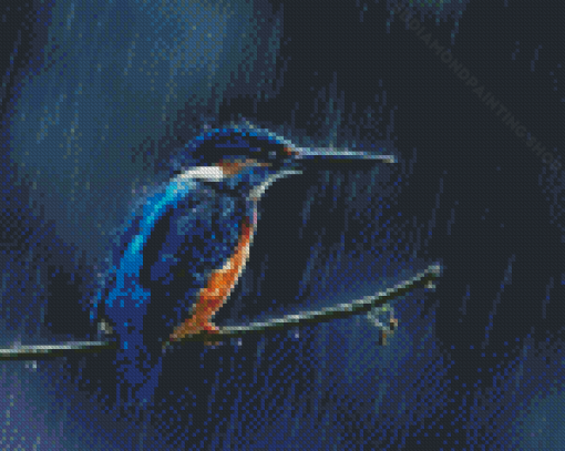 Rain And Bird Diamond Painting