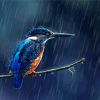 Rain And Bird Diamond Painting