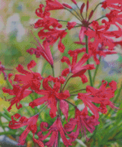 Red Nerine Lily Plant Diamond Painting