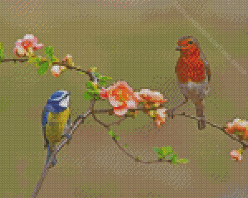 Robin And Blue Tit On Tree Diamond Painting