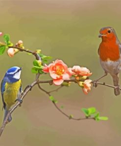 Robin And Blue Tit On Tree Diamond Painting