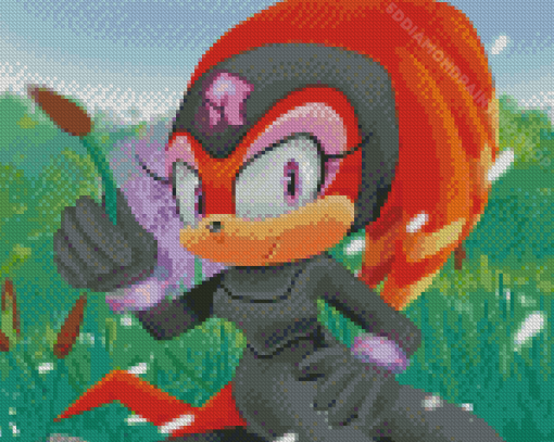 Shade The Echidna Sonic Diamond Painting