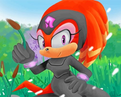 Shade The Echidna Sonic Diamond Painting