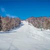 Snowy Snowshoe Mountain Diamond Painting