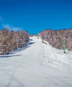 Snowy Snowshoe Mountain Diamond Painting