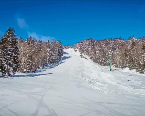 Snowy Snowshoe Mountain Diamond Painting