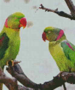 Two Alexandrine Parakeets Diamond Painting