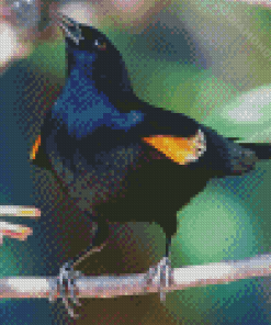 Yellow Winged Blackbird On Stick Diamond Painting