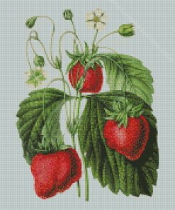 Vintage Strawberry Diamond Painting