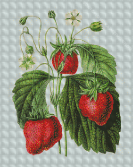 Vintage Strawberry Diamond Painting