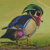 Wood Duck Bird Diamond Painting