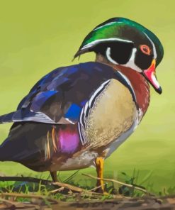 Wood Duck Bird Diamond Painting