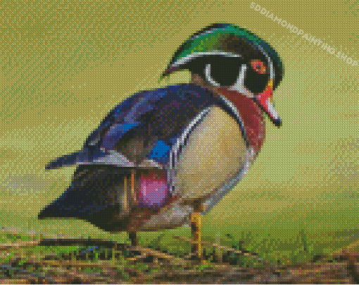 Wood Duck Bird Diamond Painting