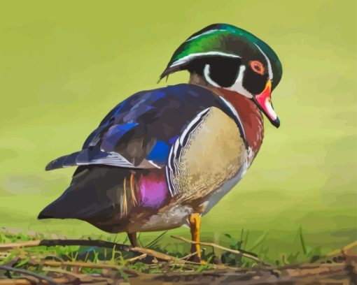 Wood Duck Bird Diamond Painting