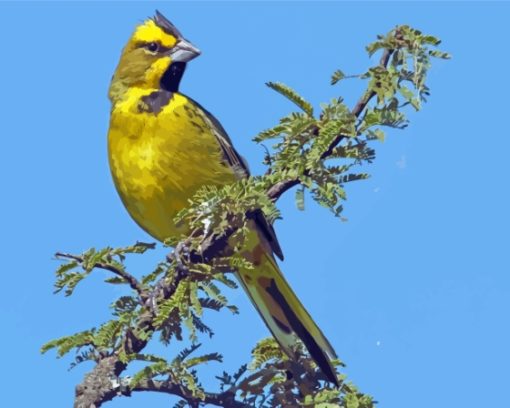 Yellow Cardinal Diamond Painting