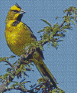 Yellow Cardinal Diamond Painting