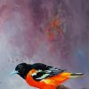 Aesthetic Baltimore Oriole Diamond Painting