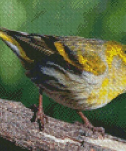 Aesthetic Eurasian Siskin Diamond Painting