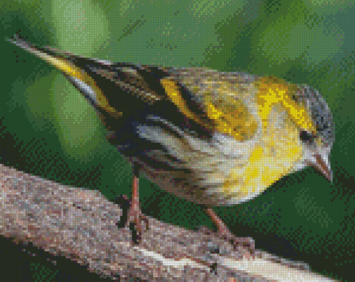 Aesthetic Eurasian Siskin Diamond Painting