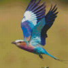 Aesthetic Lilac Breasted Roller Diamond Painting