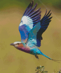 Aesthetic Lilac Breasted Roller Diamond Painting