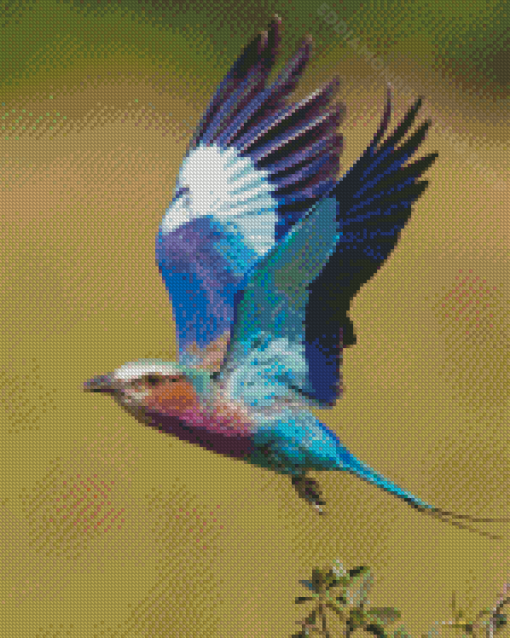 Aesthetic Lilac Breasted Roller Diamond Painting