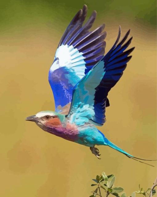 Aesthetic Lilac Breasted Roller Diamond Painting