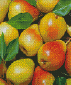 Aesthetic Pears Diamond Painting