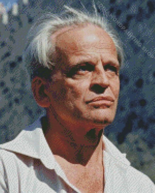 Klaus Kinski Diamond Painting