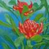 Aesthetic Waratah Diamond Painting