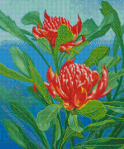 Aesthetic Waratah Diamond Painting