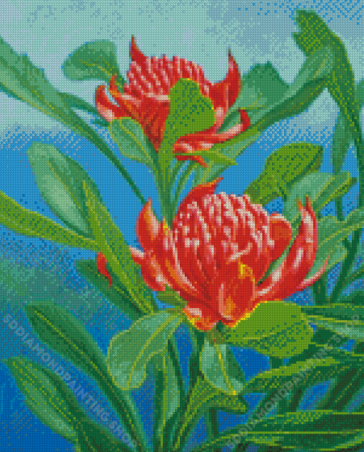 Aesthetic Waratah Diamond Painting