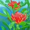 Aesthetic Waratah Diamond Painting