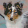 Aesthetic Blue Merle Dog Diamond Painting