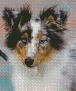 Aesthetic Blue Merle Dog Diamond Painting