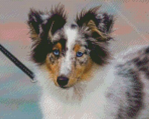 Aesthetic Blue Merle Dog Diamond Painting