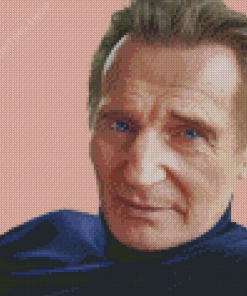 Actor Liam Neeson Diamond Painting