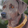 Black Blue Lacy Dog Diamond Painting