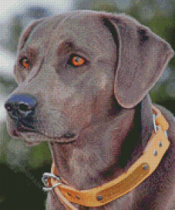 Black Blue Lacy Dog Diamond Painting