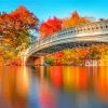 Central Park Autumn Diamond Painting