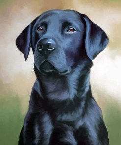 Cool Black Labrador Diamond Painting