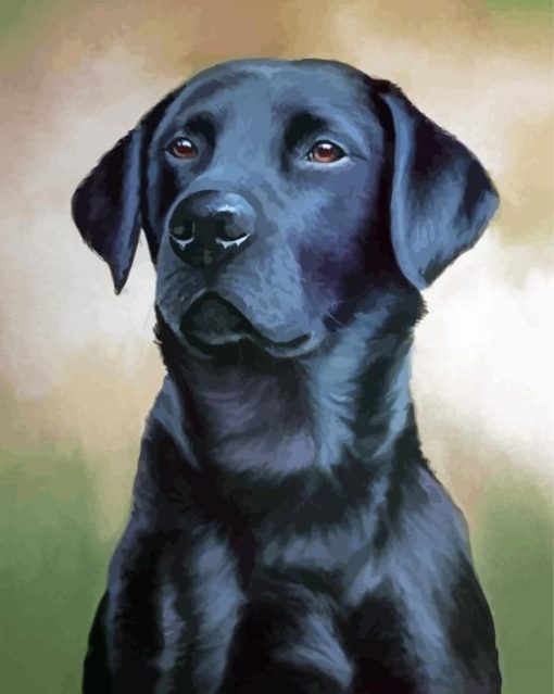 Cool Black Labrador Diamond Painting