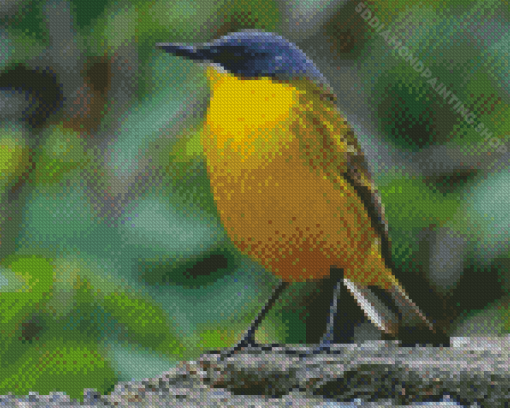 Eastern Yellow Wagtail Diamond Painting