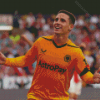 Wolverhampton Wolves Diamond Painting