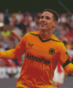 Wolverhampton Wolves Diamond Painting