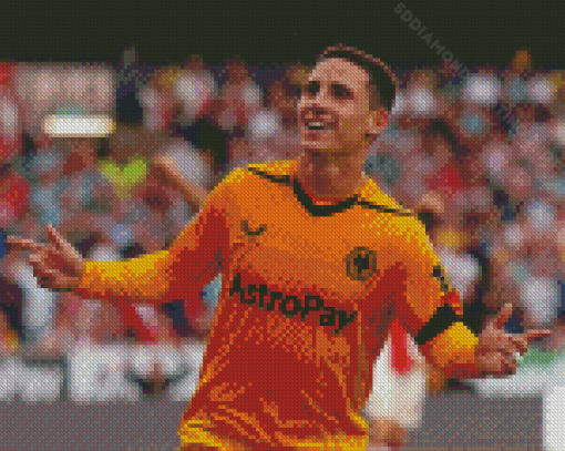 Wolverhampton Wolves Diamond Painting