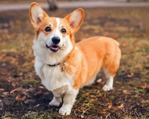 Welsh Corgi Dog Diamond Painting