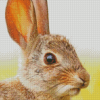 Cute Rabbit Diamond Painting